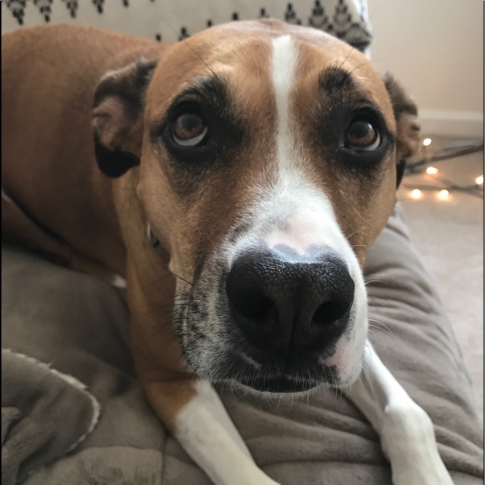 Meet your Posher, Heather